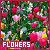 flowers fanlisting