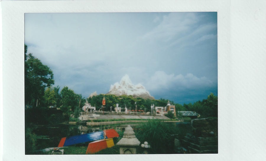 everest mountain ride at disney animal kingdom