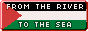 free palestine button