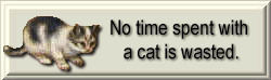 button that reads 'no time spent with a cat is wasted'