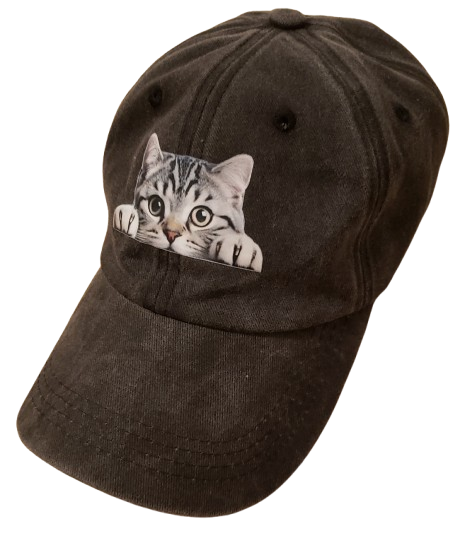 cat baseball hat