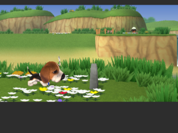 screenshot of the dog island on ps2